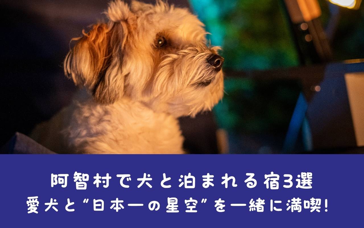 阿智村で犬と泊まれる宿3選｜愛犬と“日本一の星空”を一緒に満喫！