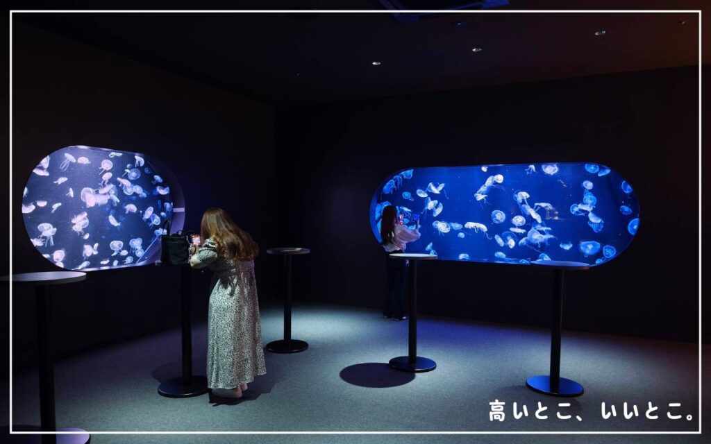 AOAO SAPPORO(アオアオサッポロ)